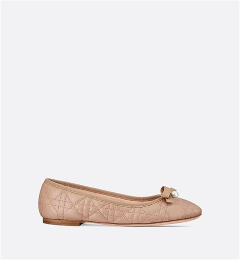 dior ballerinas shoes